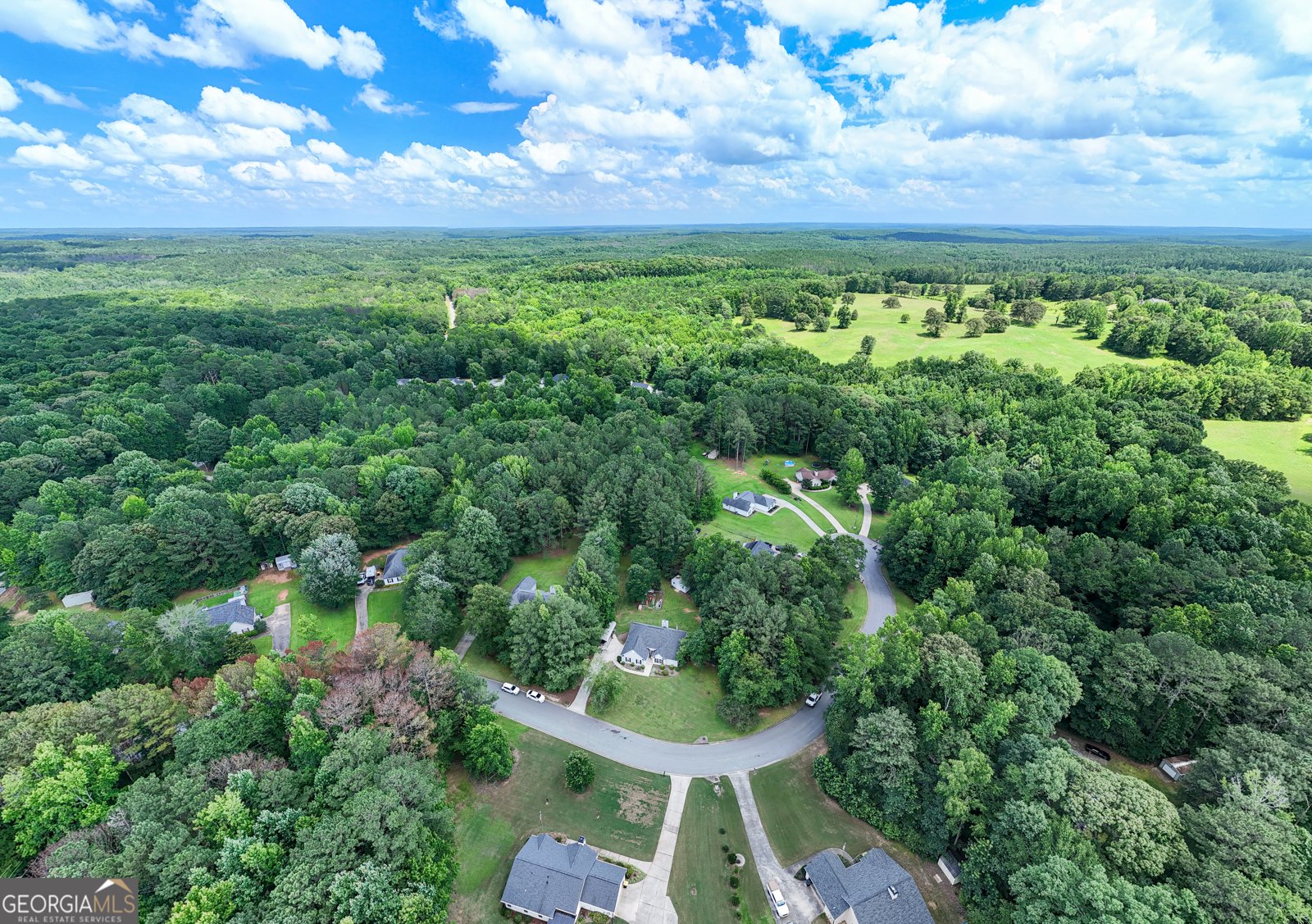 50 Walton Woods Drive Newnan - Photo 25