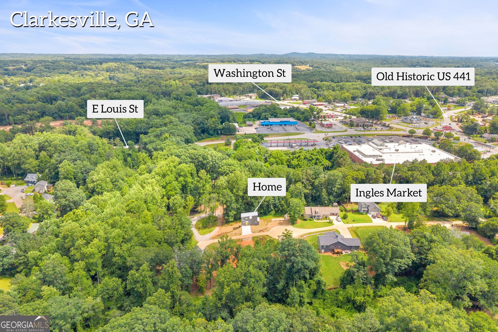 256 Lacount Lane Clarkesville - Photo 57