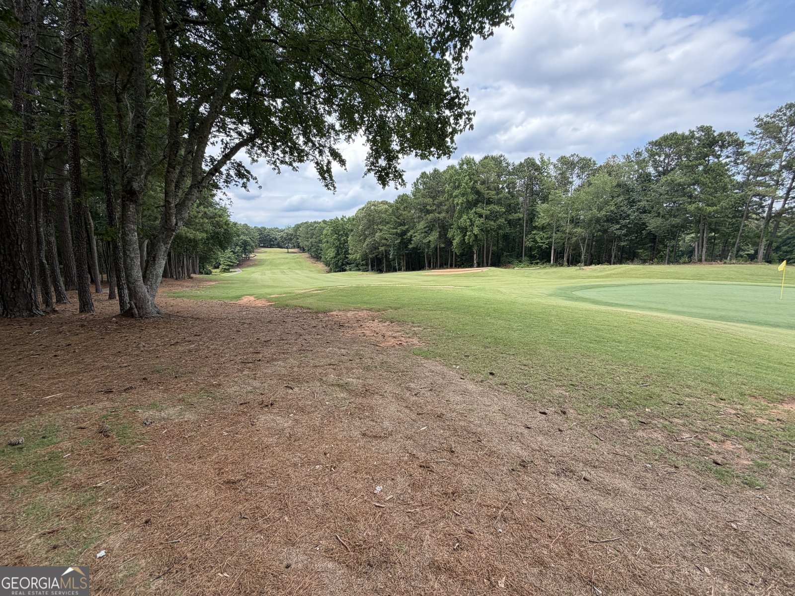600 McGarity Drive McDonough - Photo 25