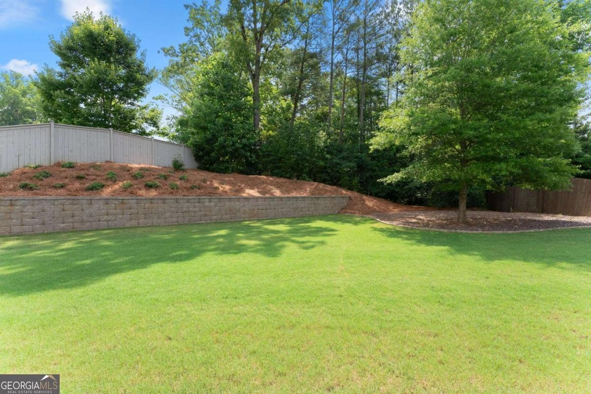 31 Lake Sydney Drive Dawsonville - Photo 38