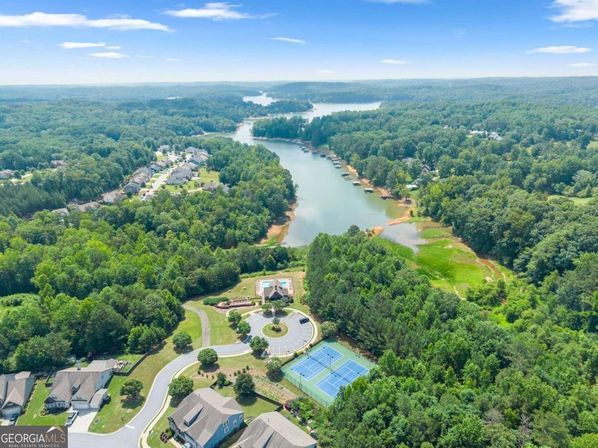 31 Lake Sydney Drive Dawsonville - Photo 44