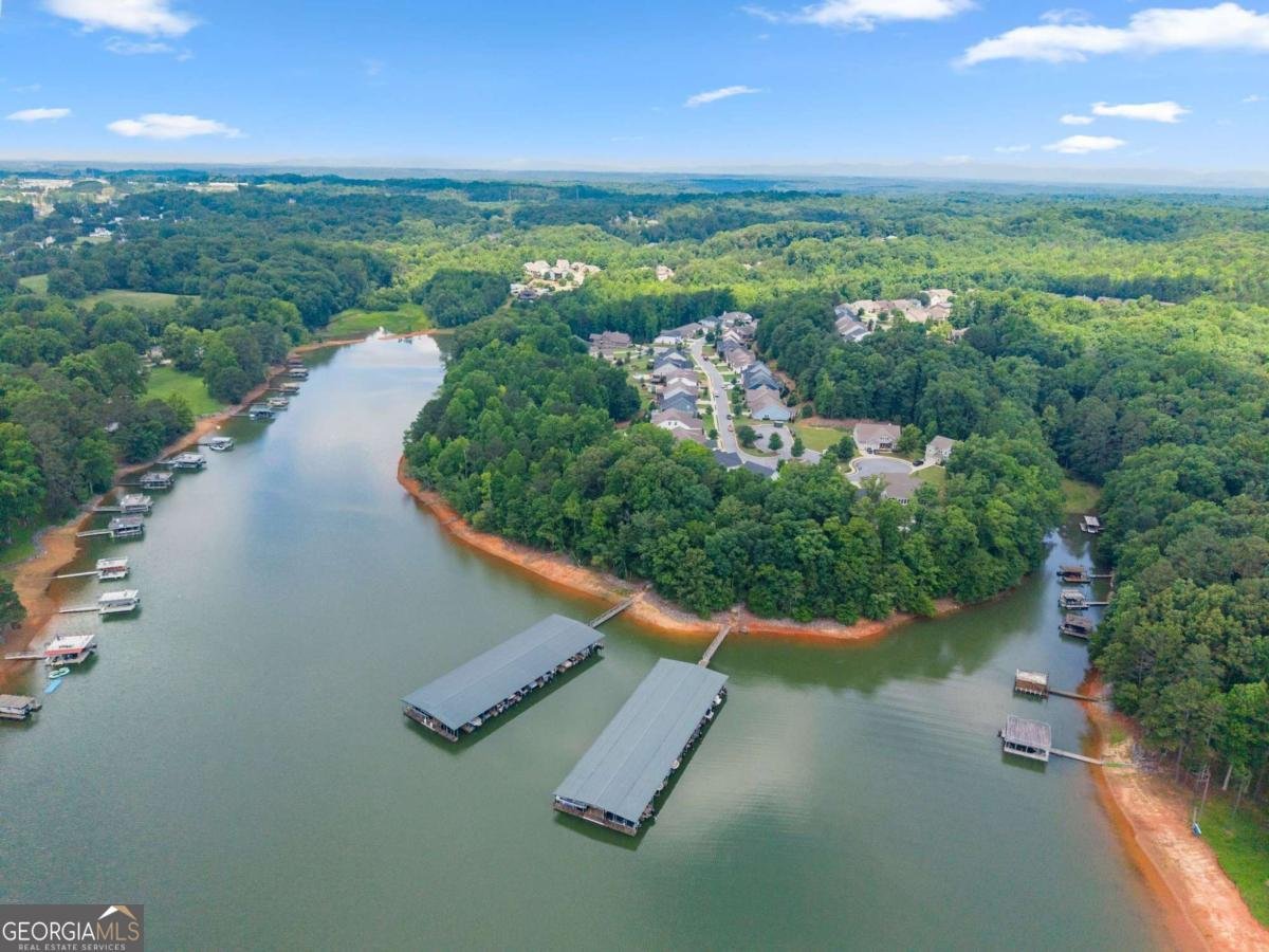 31 Lake Sydney Drive Dawsonville - Photo 48