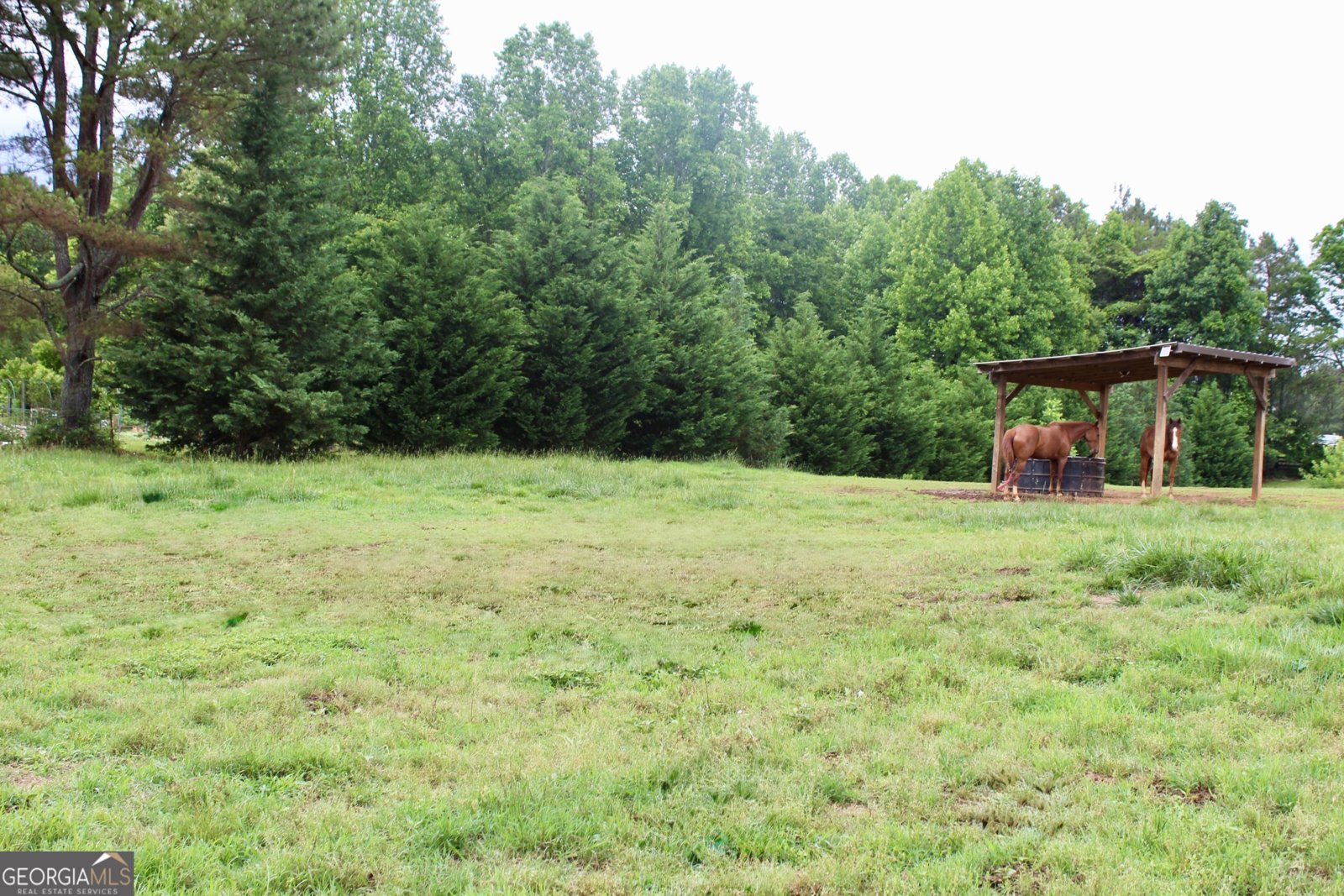 2570 Castleberry Bridge Road Dawsonville - Photo 36
