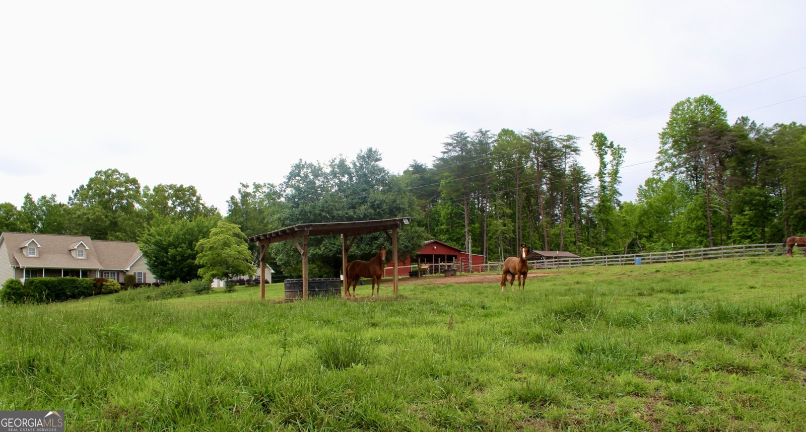 2570 Castleberry Bridge Road Dawsonville - Photo 39