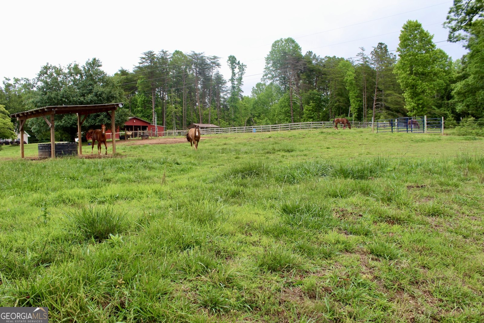 2570 Castleberry Bridge Road Dawsonville - Photo 44
