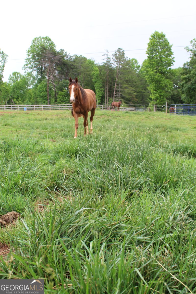 2570 Castleberry Bridge Road Dawsonville - Photo 45