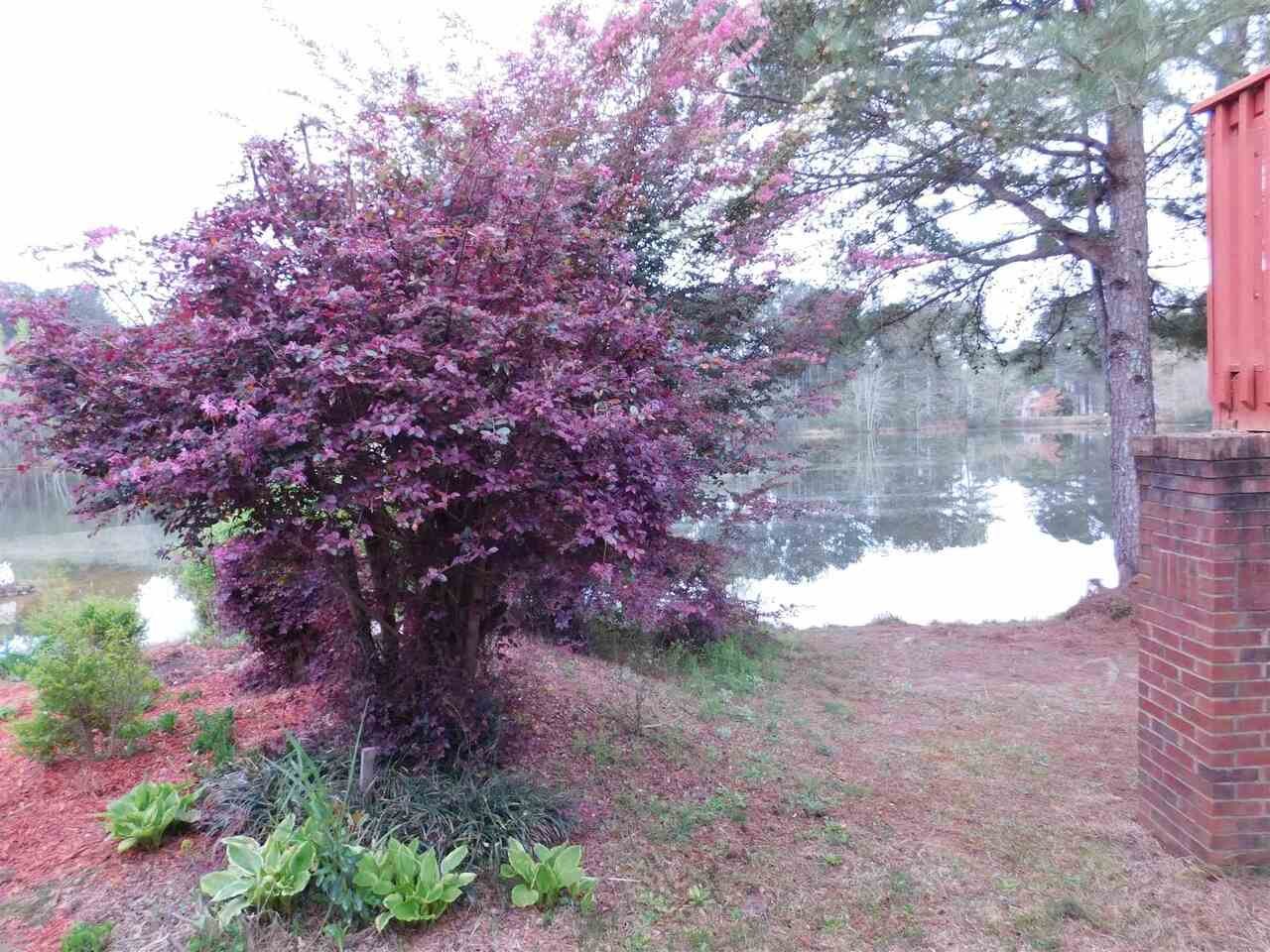 2335 Jennas Way Conyers - Photo 27