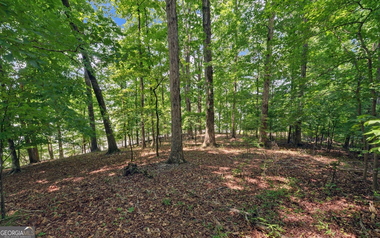 4521 Shoreline Drive Gainesville - Photo 60