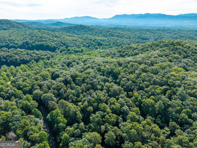 5198 Flat Branch Road Ellijay - Photo 10