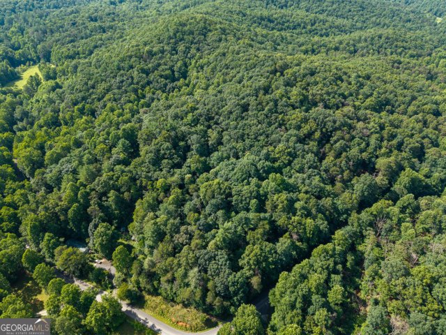 5198 Flat Branch Road Ellijay - Photo 11