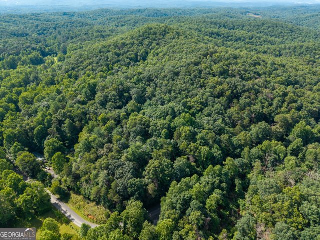 5198 Flat Branch Road Ellijay - Photo 12