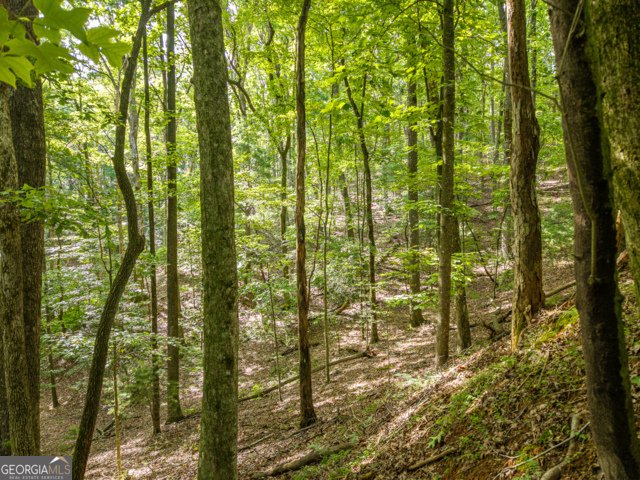 5198 Flat Branch Road Ellijay - Photo 13