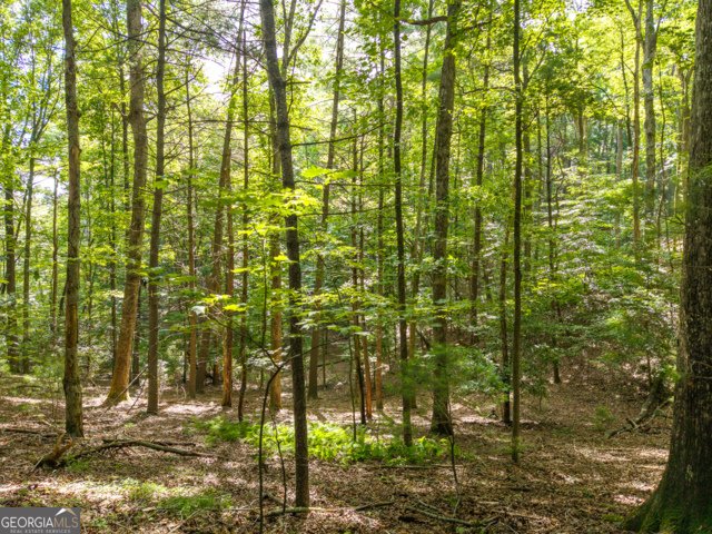 5198 Flat Branch Road Ellijay - Photo 14