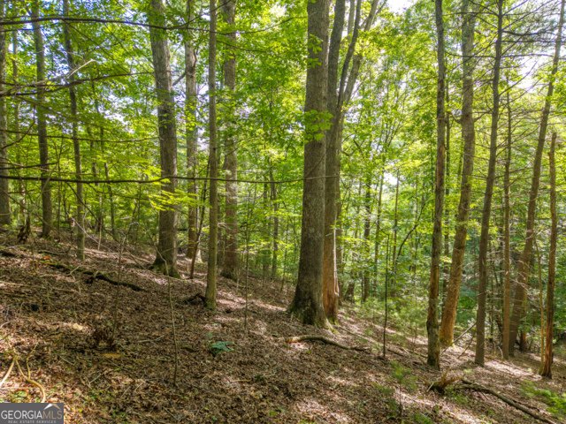 5198 Flat Branch Road Ellijay - Photo 15