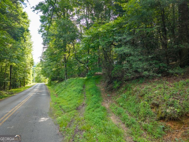 5198 Flat Branch Road Ellijay - Photo 16