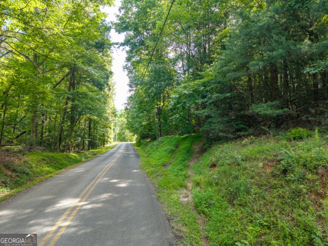 5198 Flat Branch Road Ellijay - Photo 17