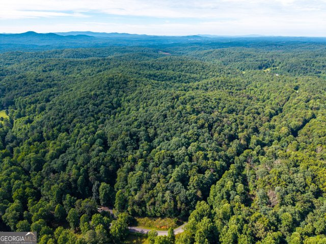 5198 Flat Branch Road Ellijay - Photo 6