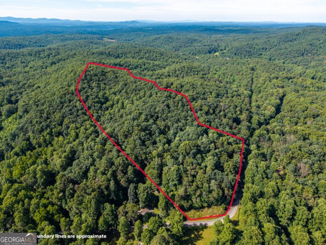 5198 Flat Branch Road Ellijay - Photo 7