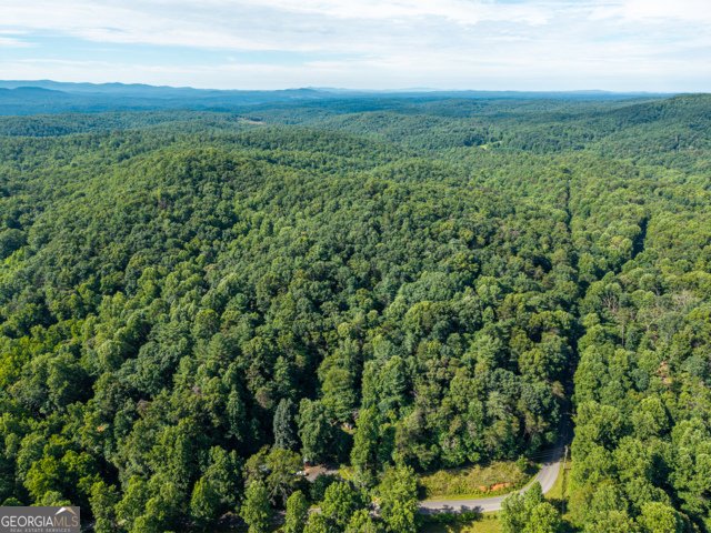 5198 Flat Branch Road Ellijay - Photo 8