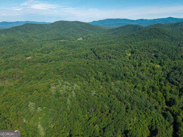 5198 Flat Branch Road Ellijay - Photo 9