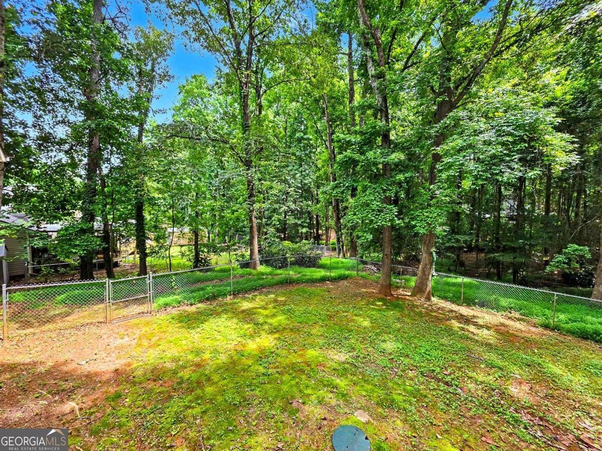 916 Little River Lane Woodstock - Photo 28