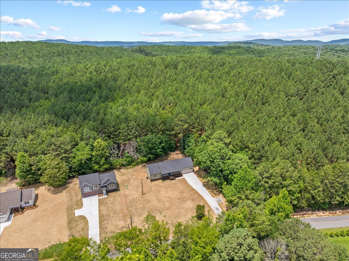3104 Old Morris Road Rocky Face - Photo 27