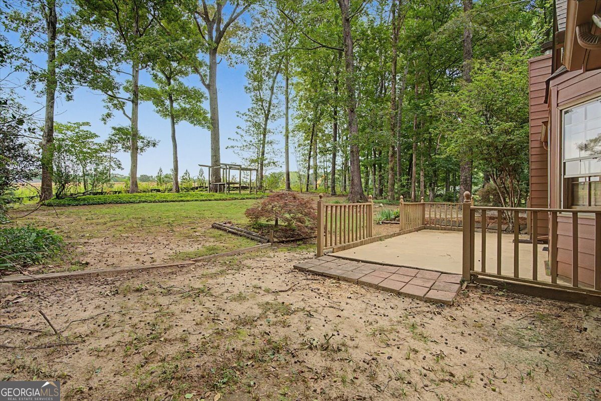 382 Indian Lake Court Hiram - Photo 52