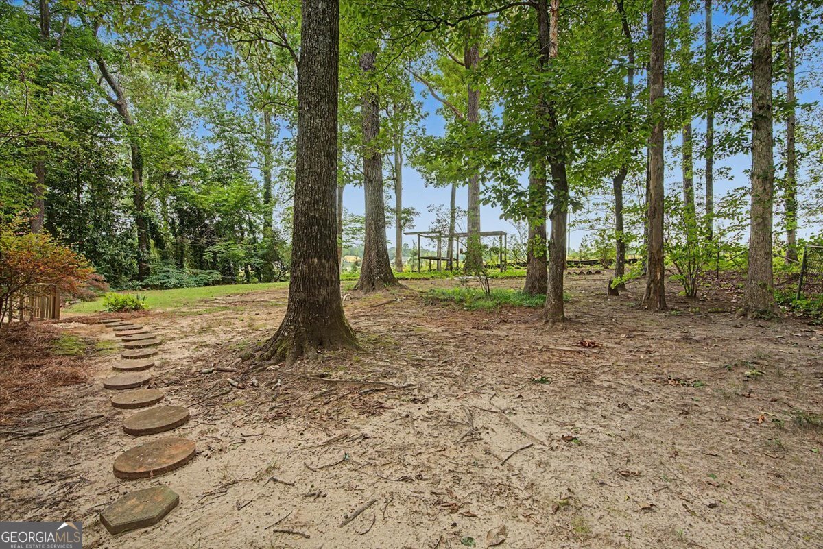 382 Indian Lake Court Hiram - Photo 56