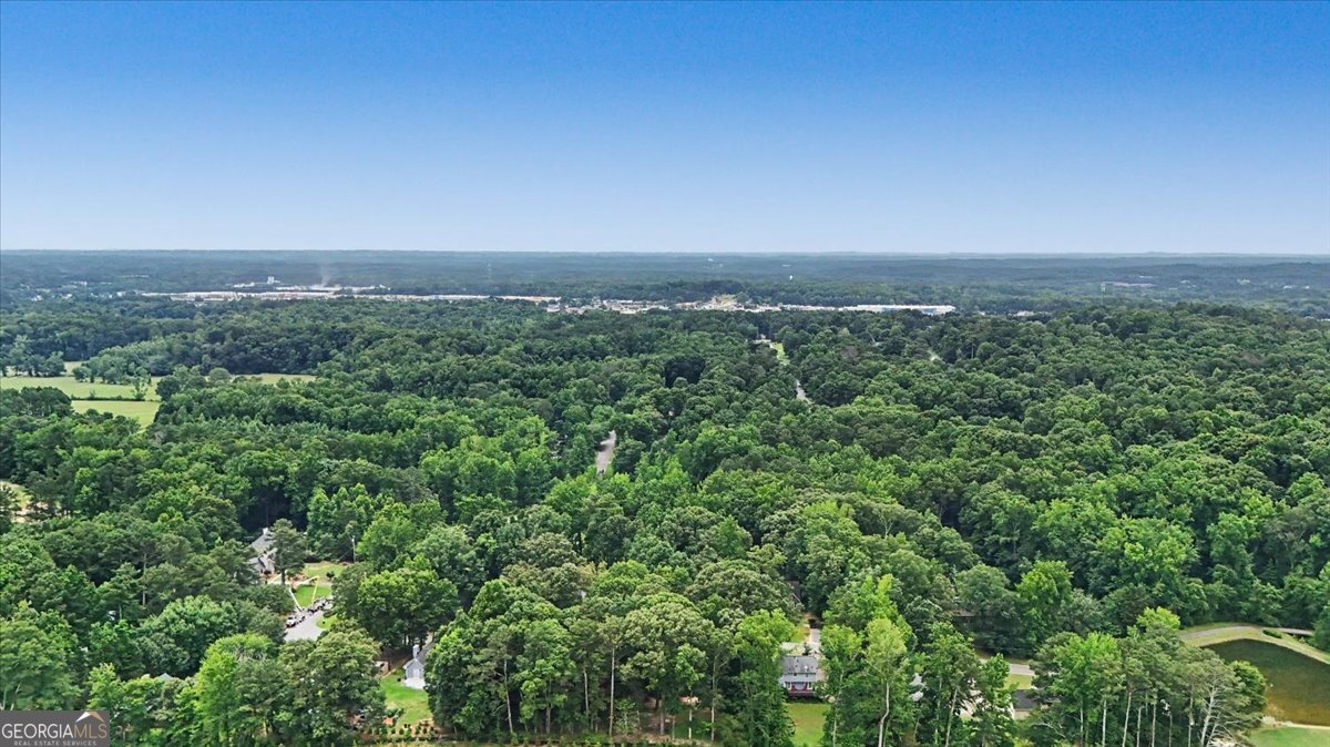 382 Indian Lake Court Hiram - Photo 57