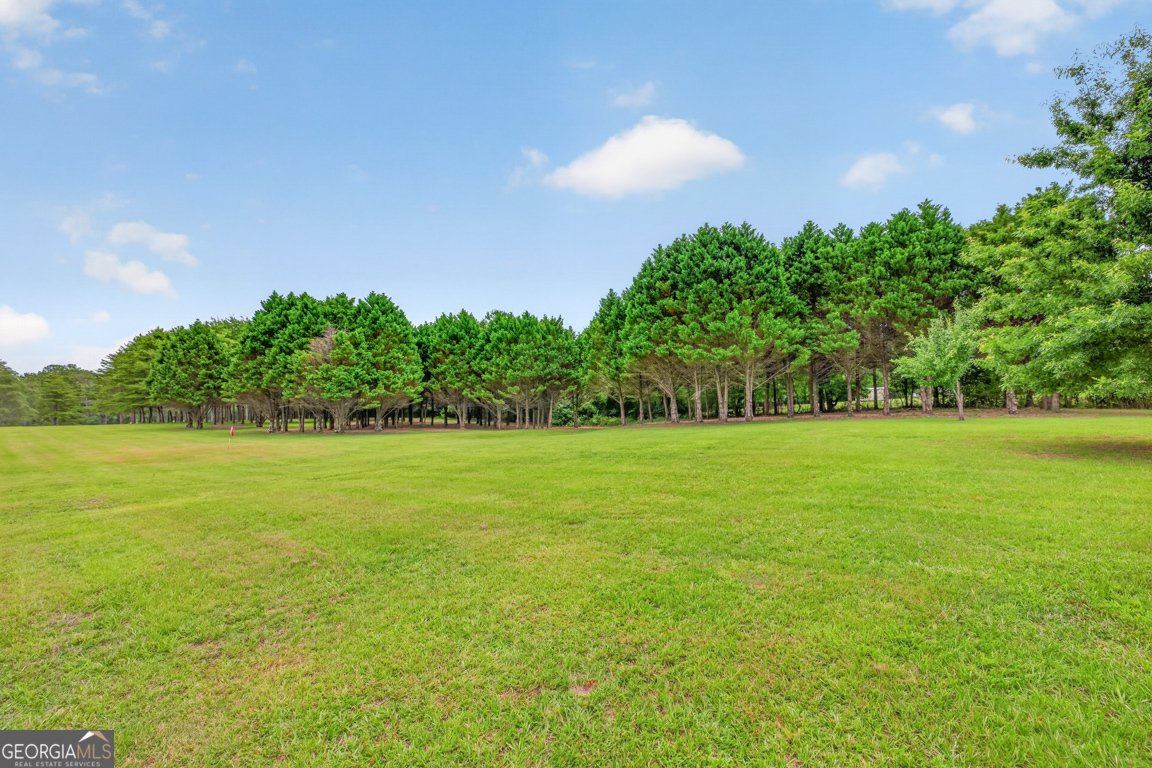 1740 Old Buckhead Road Madison - Photo 104