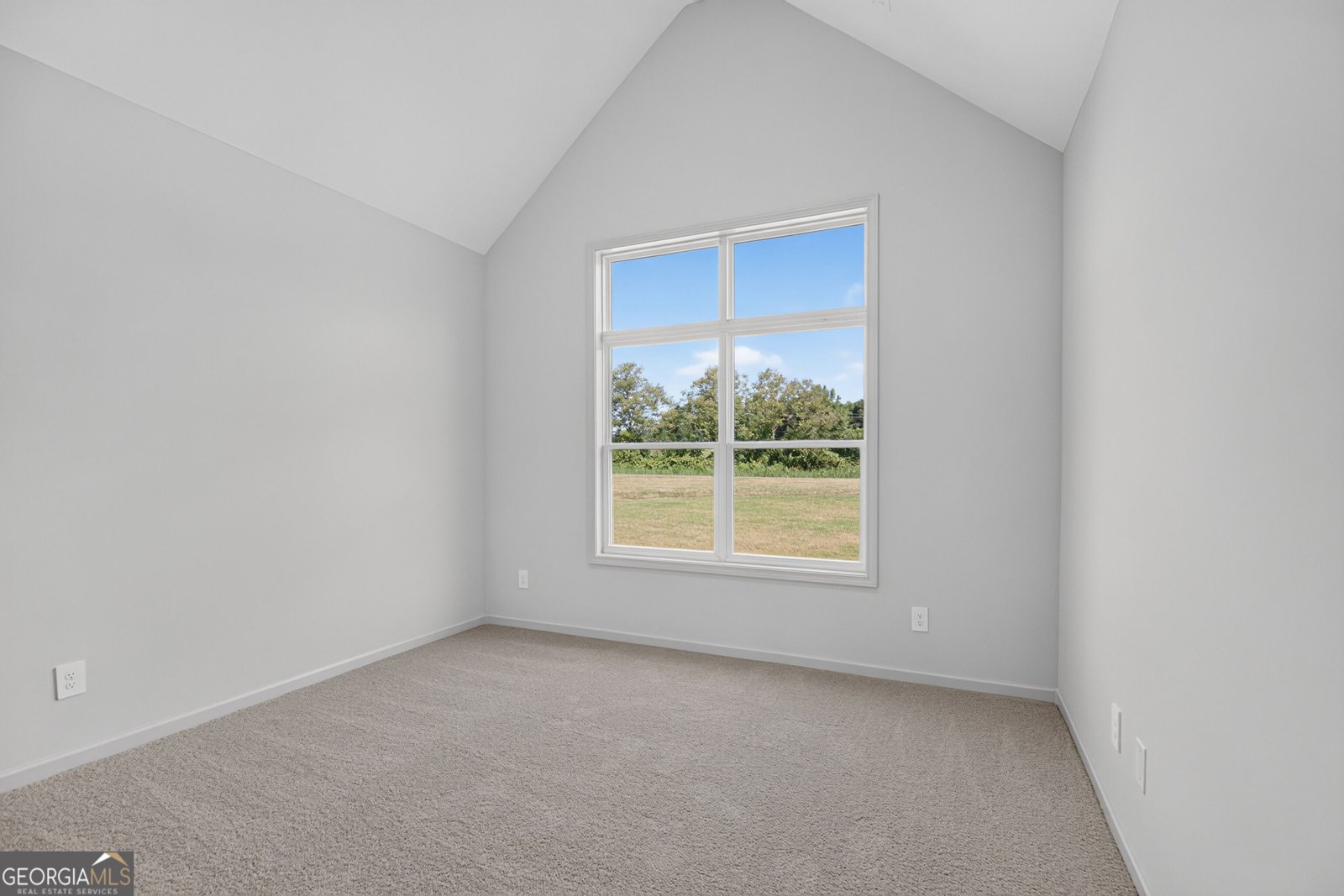 67 Gum Creek Road Roopville - Photo 26
