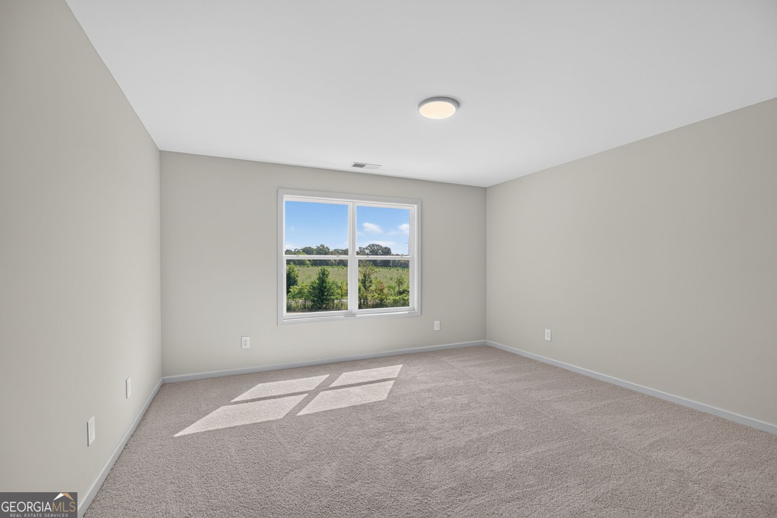 67 Gum Creek Road Roopville - Photo 39