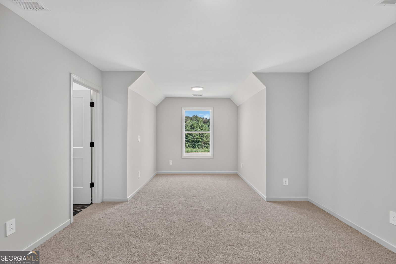 67 Gum Creek Road Roopville - Photo 43