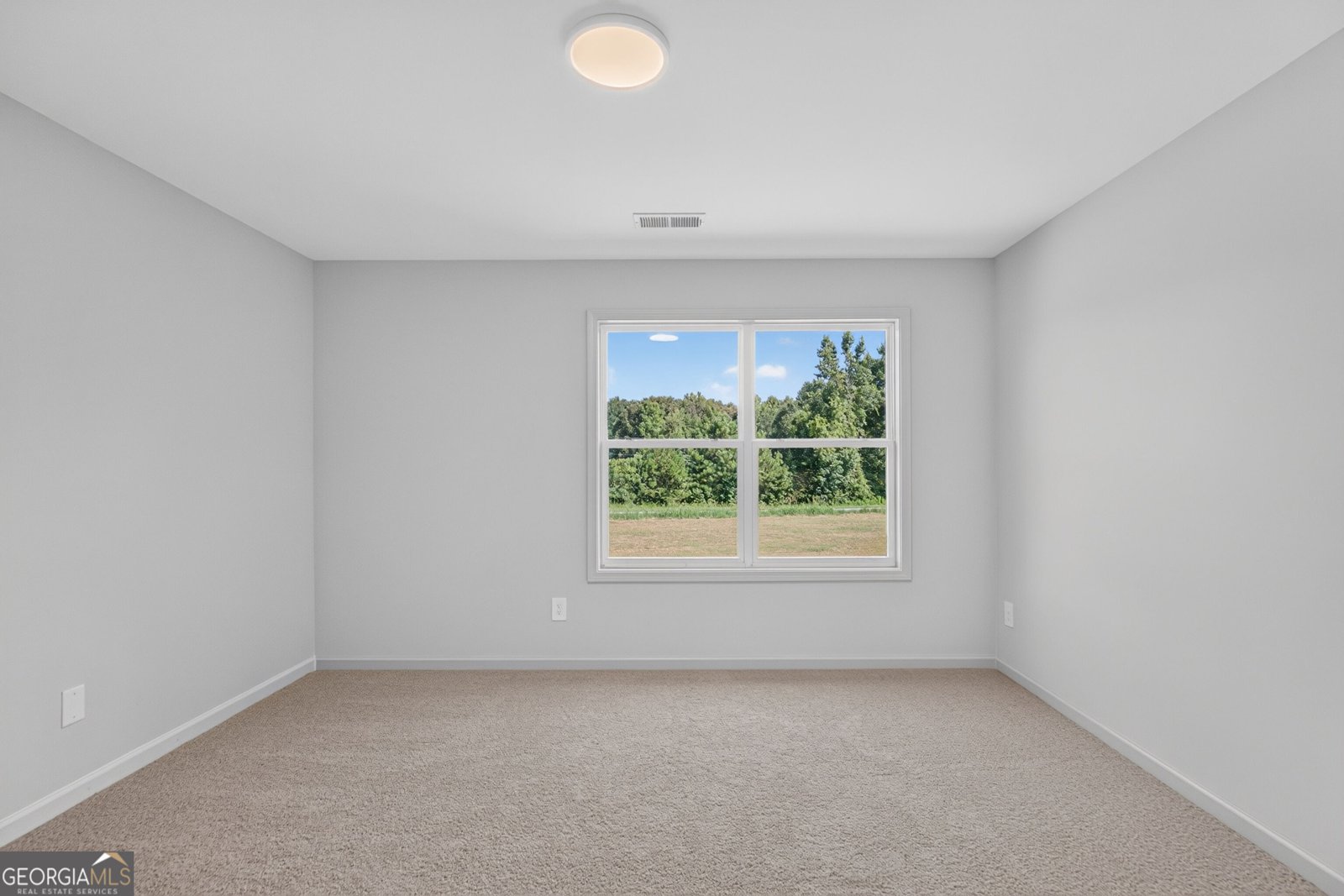 67 Gum Creek Road Roopville - Photo 46