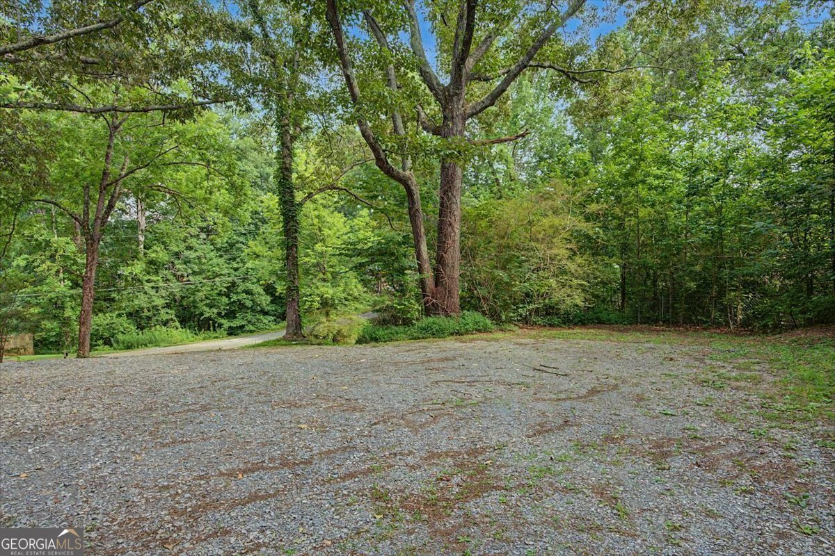 48 Jackson Street Tallapoosa - Photo 30