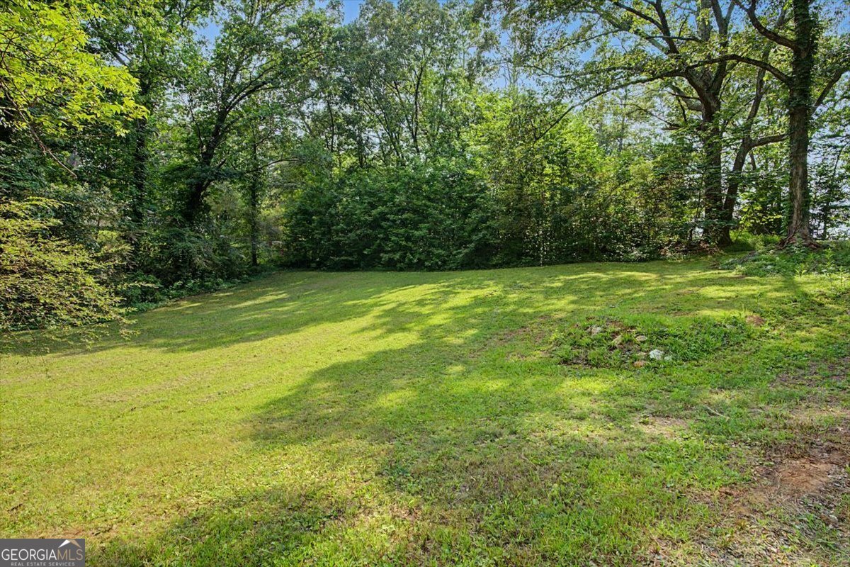 48 Jackson Street Tallapoosa - Photo 31