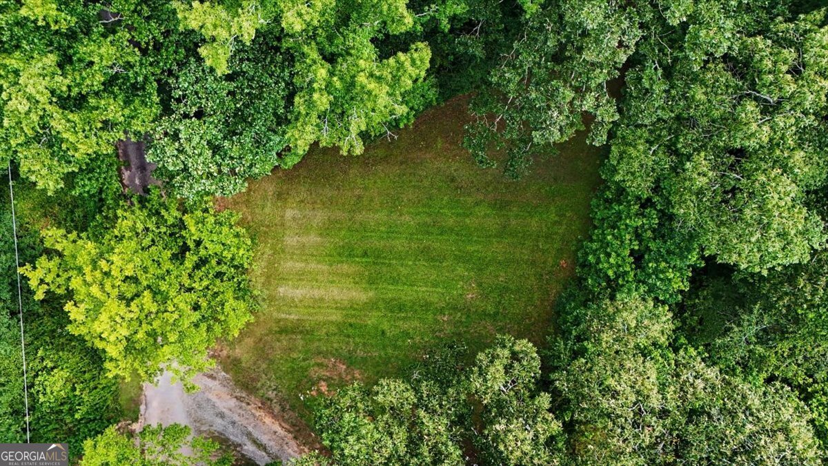 48 Jackson Street Tallapoosa - Photo 32