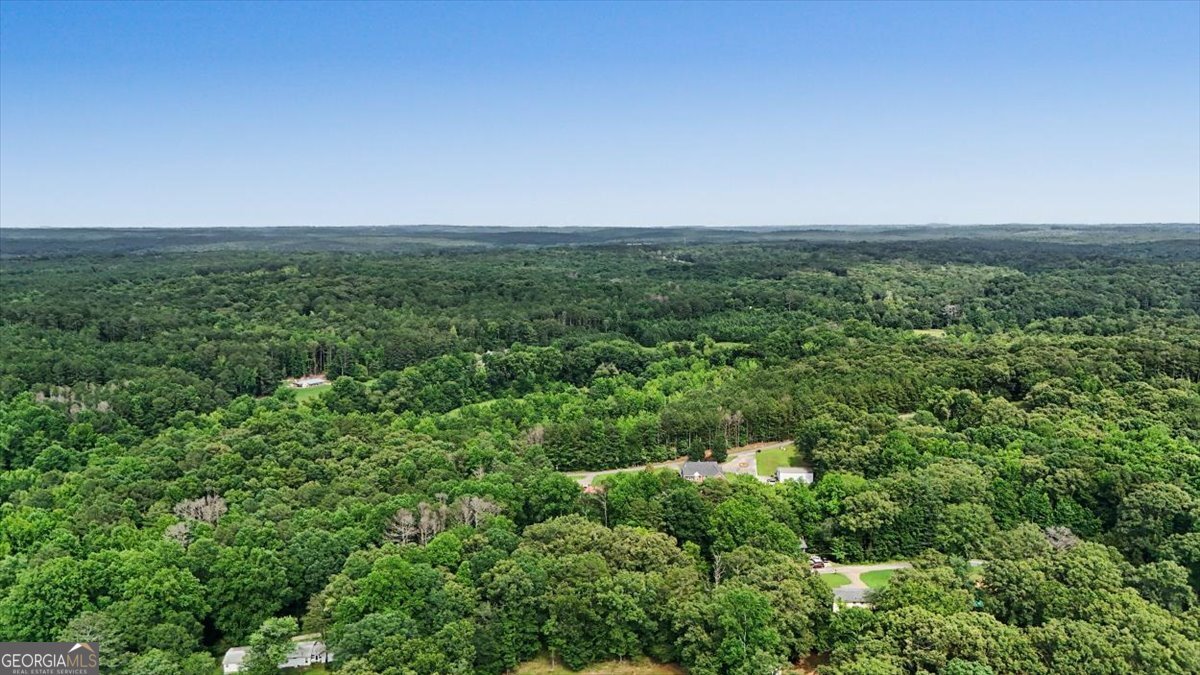 48 Jackson Street Tallapoosa - Photo 35