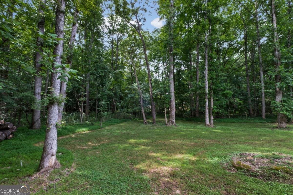 13595 Birmingham Highway Milton - Photo 43