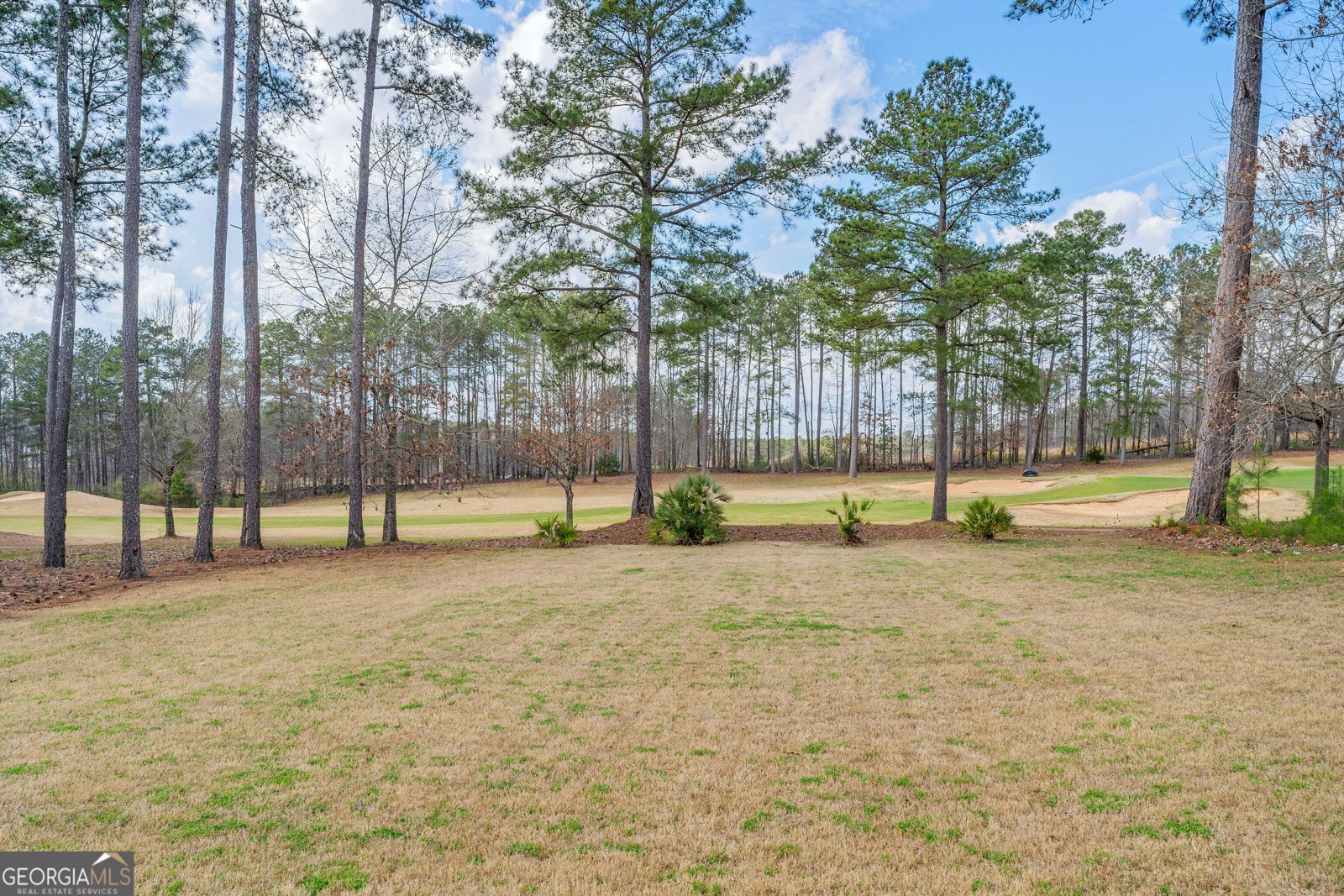 6857 Louis Drive Locust Grove - Photo 40