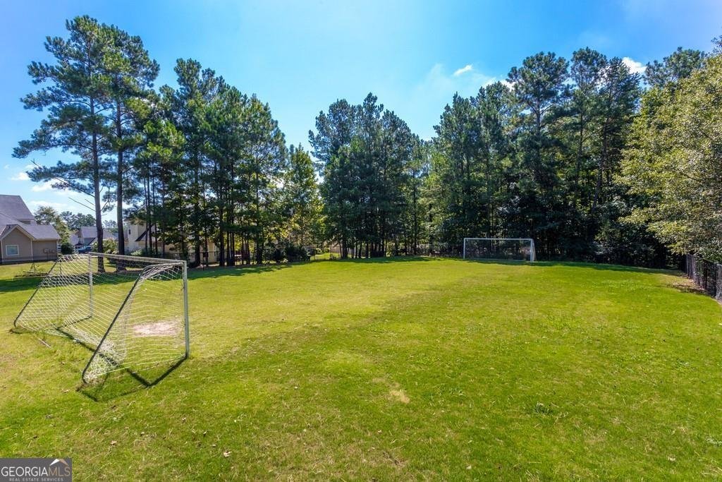 119 Arena Trail Dallas - Photo 37