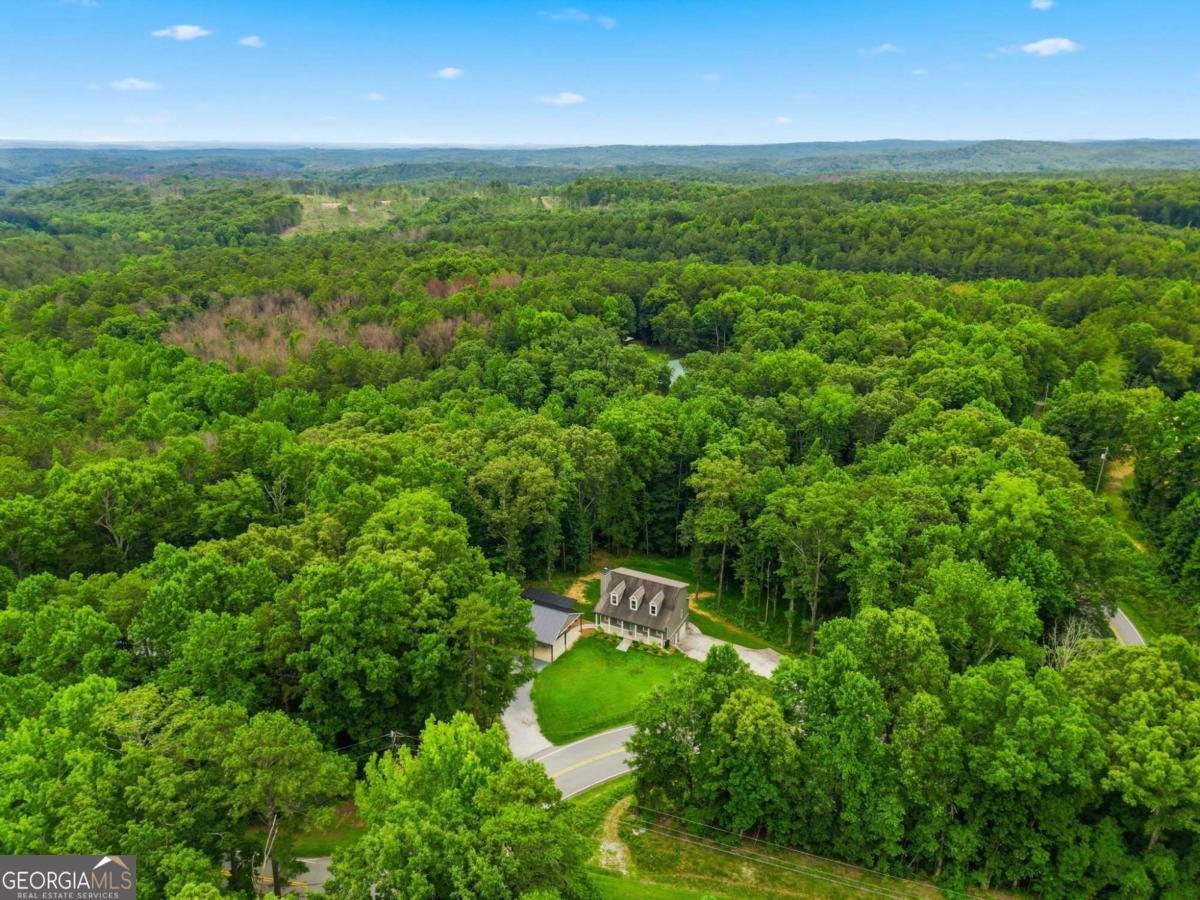 4456 Brushy Mountain Road Rockmart - Photo 52
