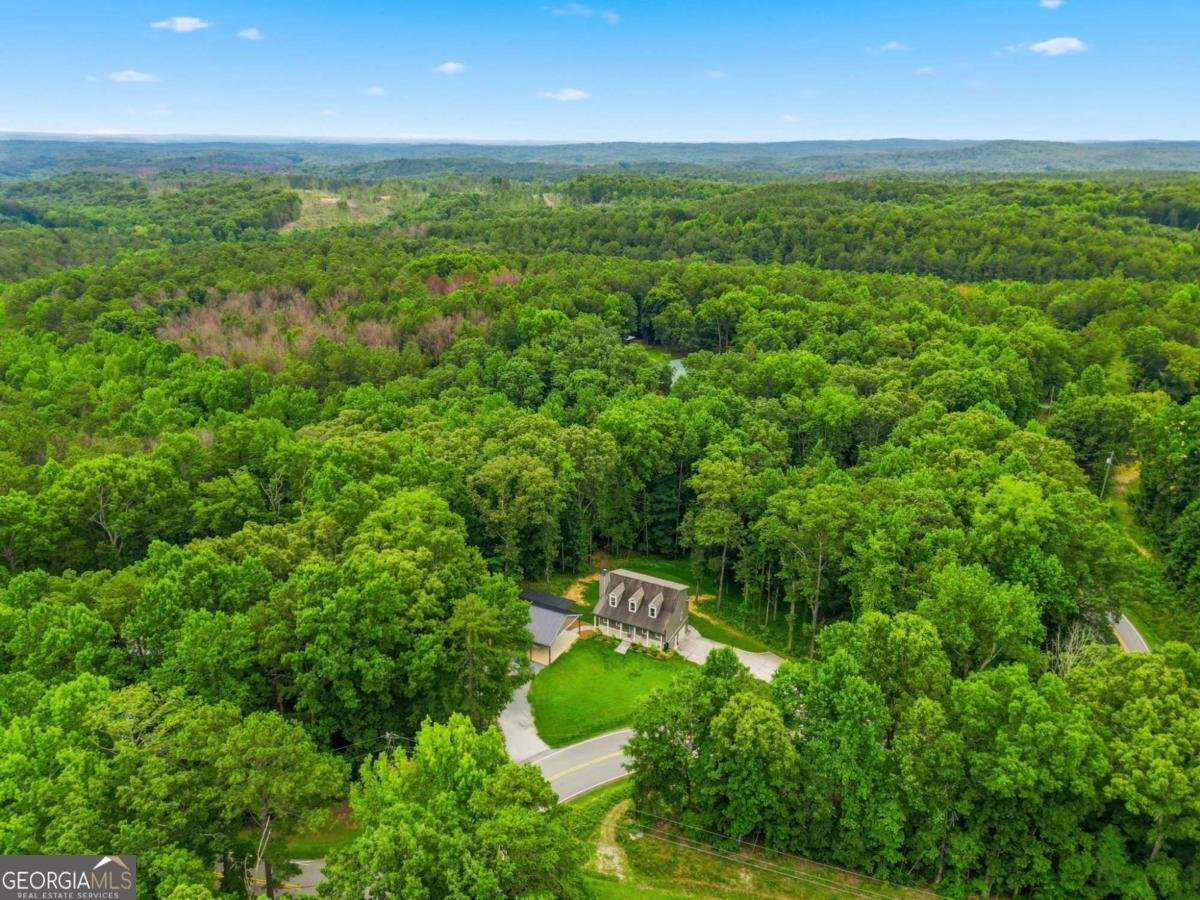 4456 Brushy Mountain Road Rockmart - Photo 53