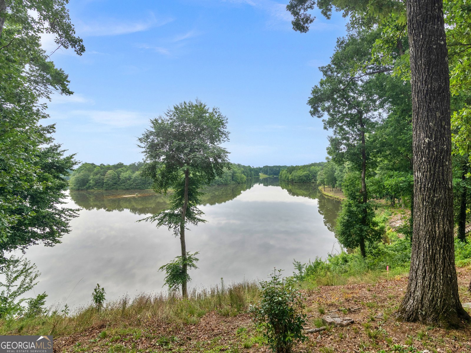 1445 Lake Forest Ln McDonough - Photo 35