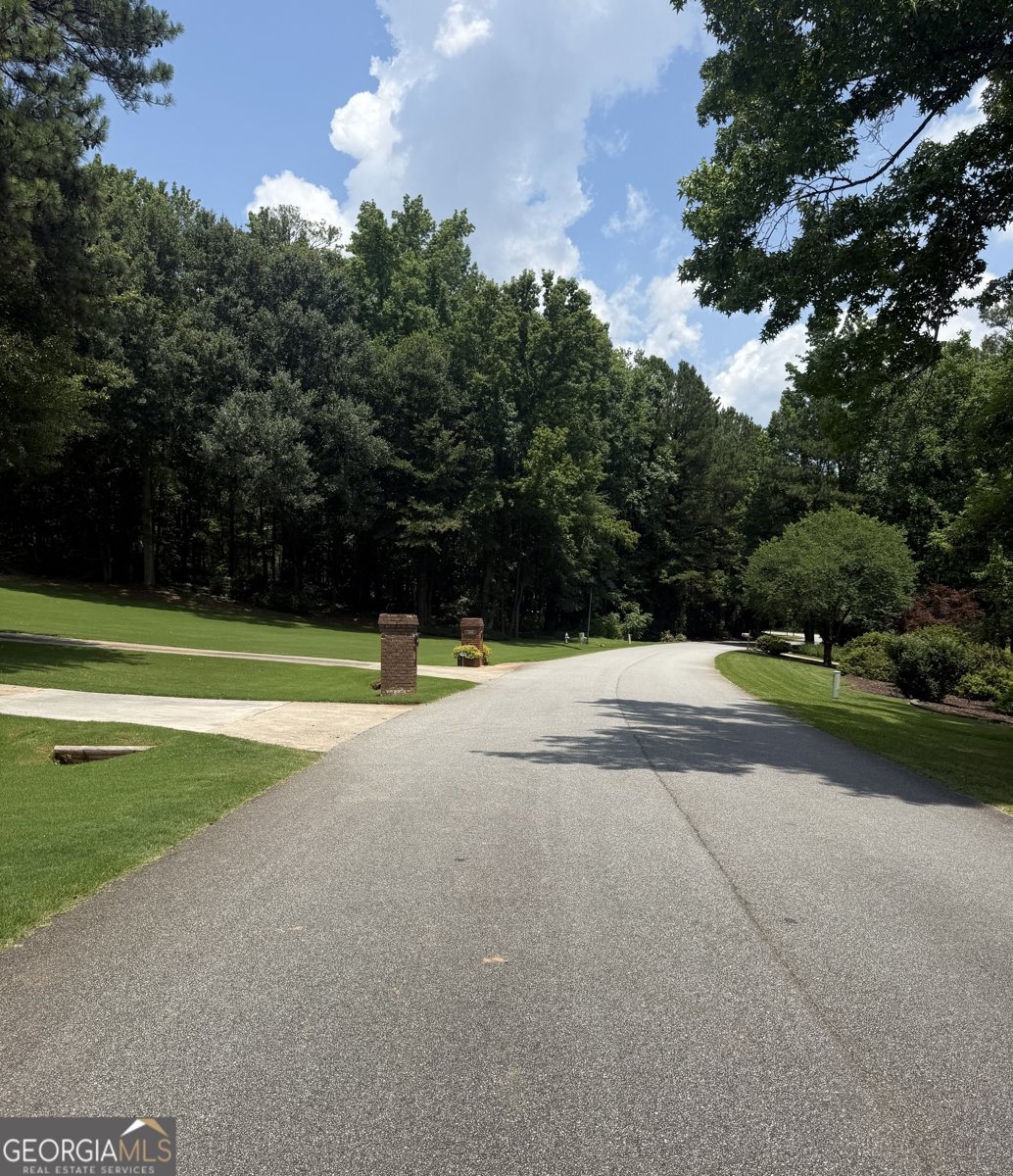 2080 Castle Lake Drive Tyrone - Photo 26