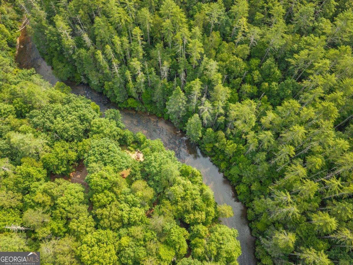 318 Horseshoe Lane Dahlonega - Photo 24