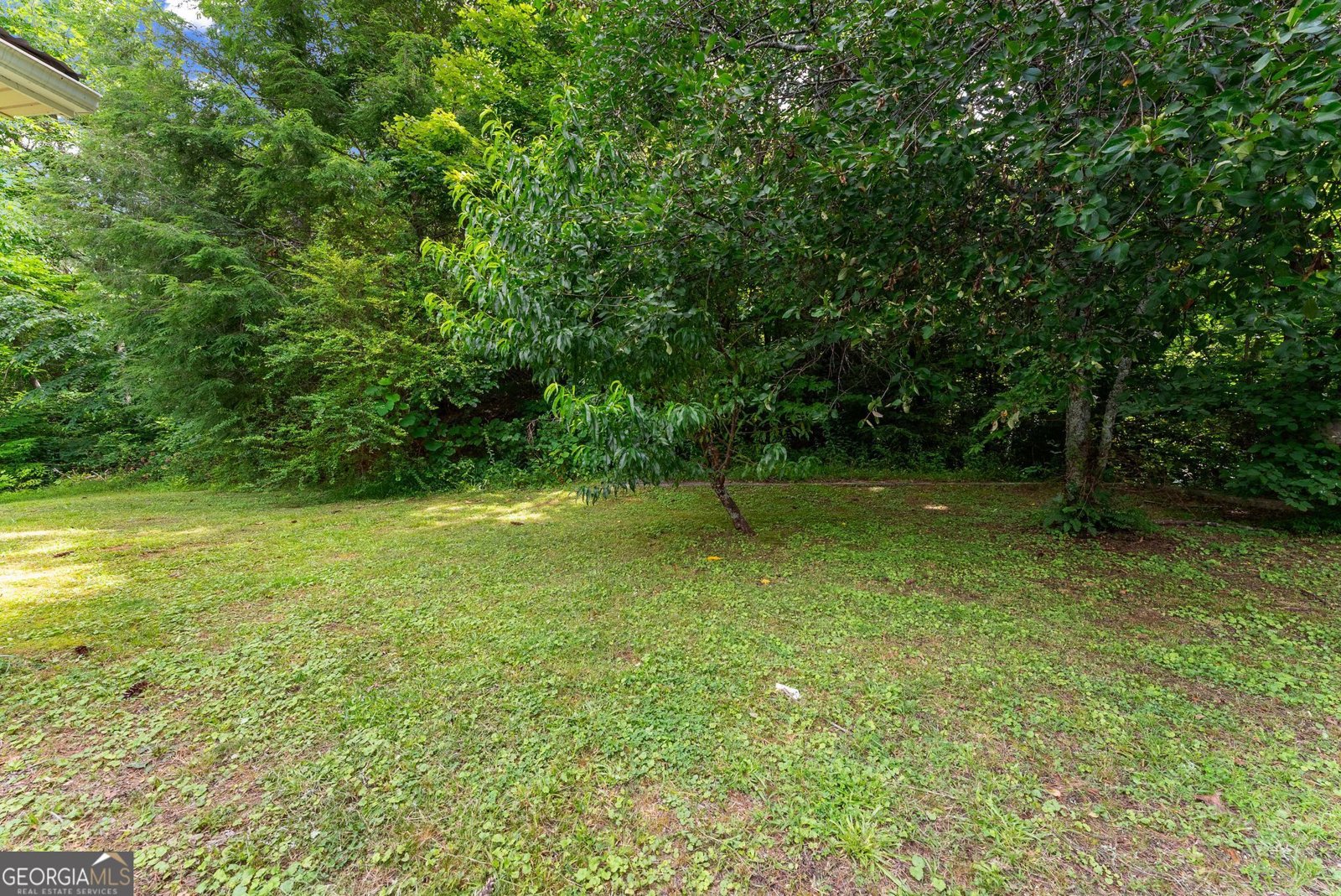 110 Pastel Lane Clayton - Photo 36