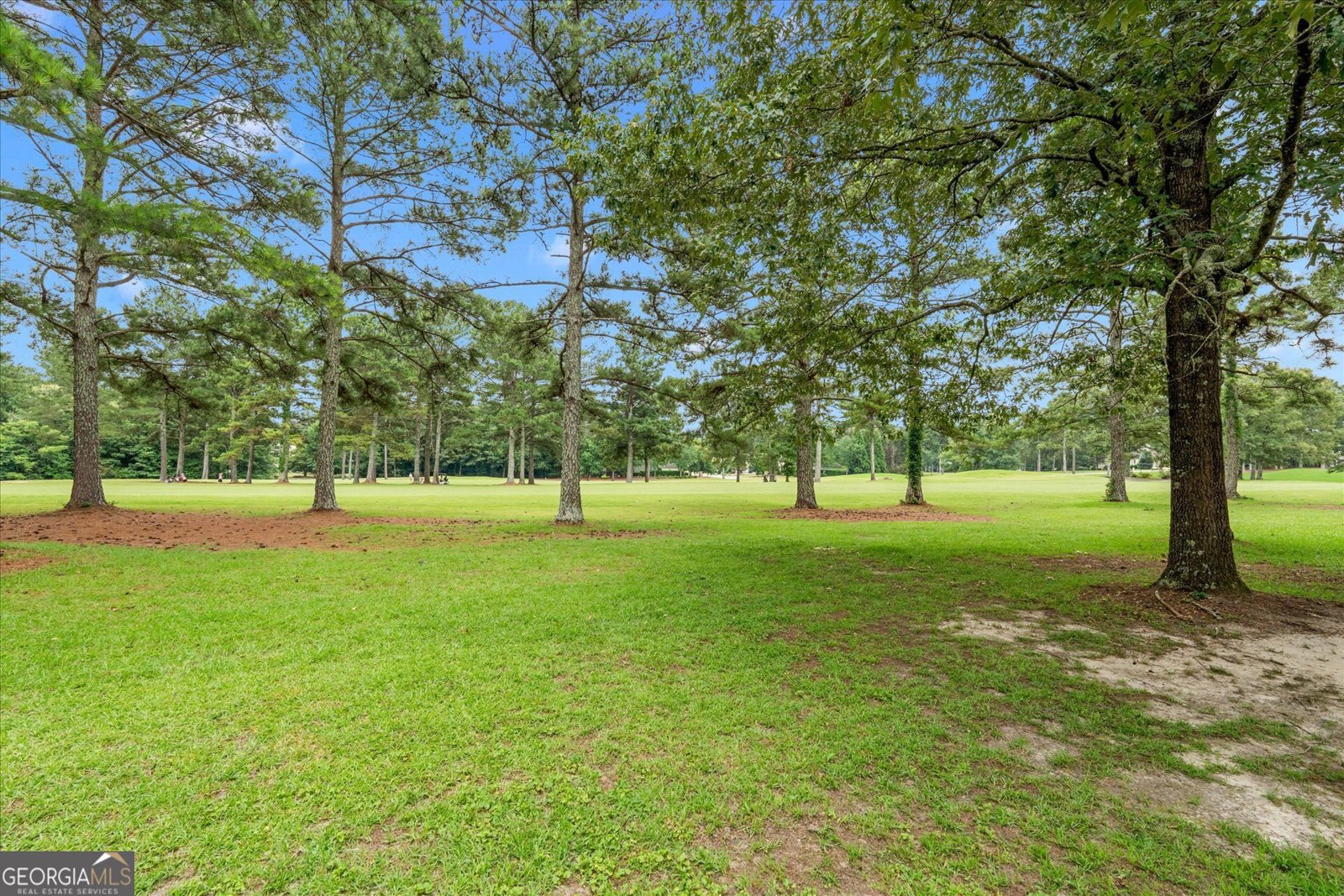 9821 Reflections Dr Villa Rica - Photo 19