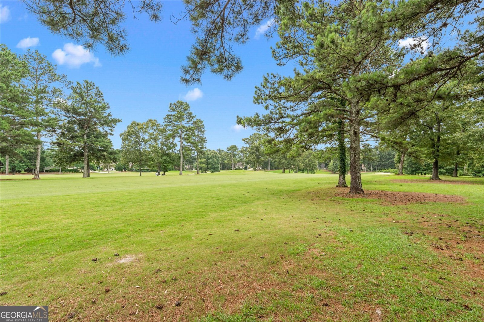 9821 Reflections Dr Villa Rica - Photo 20