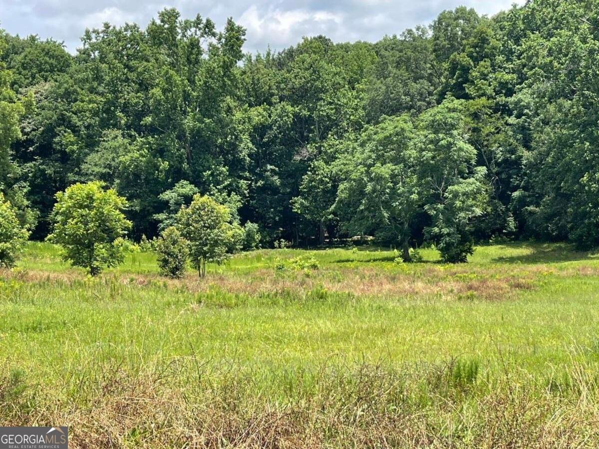 495 Bragg Road Monticello - Photo 9